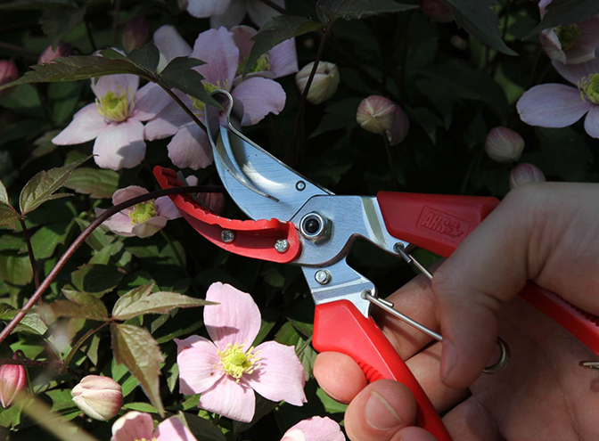 ARS Pruning shears