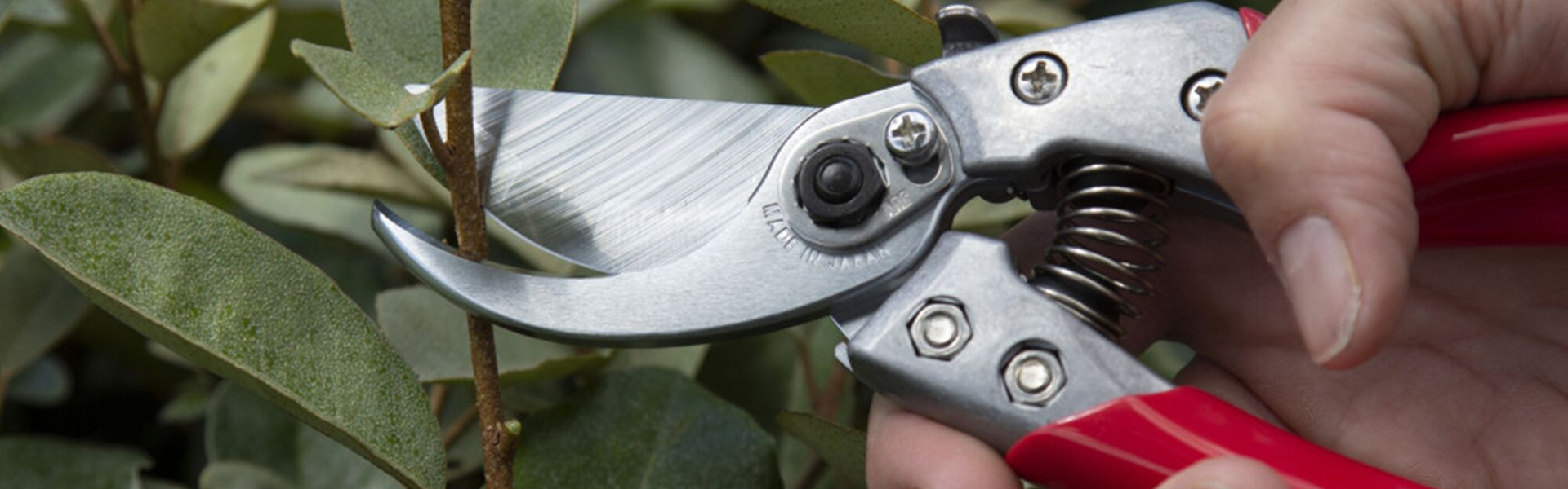 ARS Pruning shears