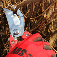 Pruning shears