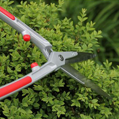 Hedge trimmer