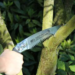 Pruning saw