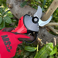 ARS Pruning shears