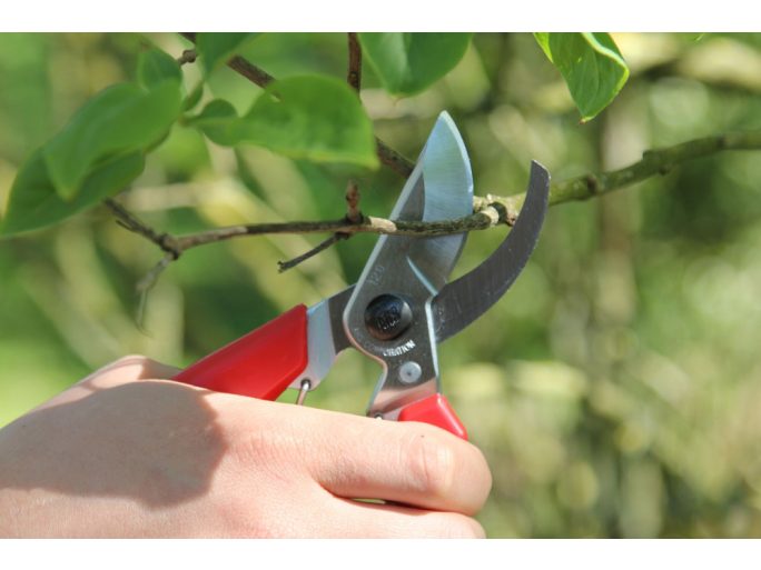 ARS 120DX Japanese pruning shears with universal grip