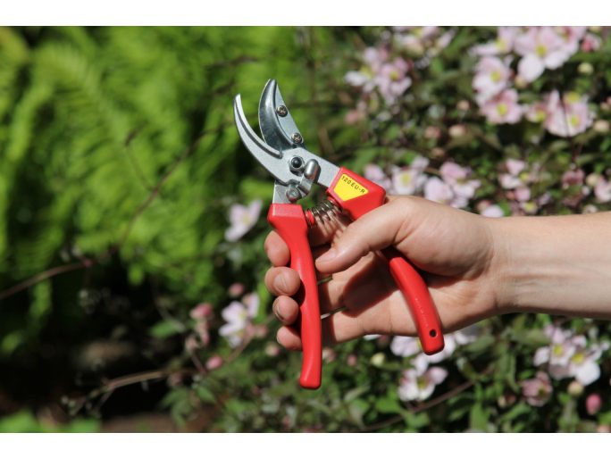 ARS 120EU-R pruning shears for rose pruning