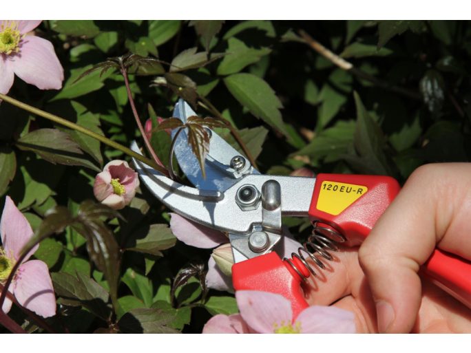 ARS 120EU-R pruning shears for rose pruning