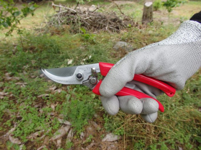 ARS 130DX-R pruning shears with red handle