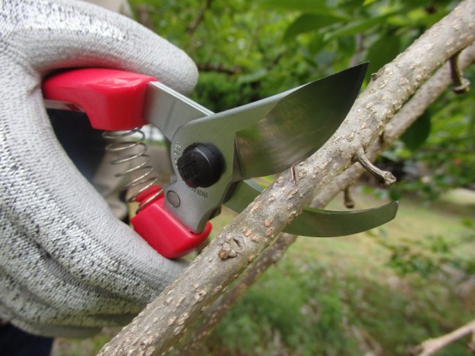 ARS 130DX-R pruning shears with red handle