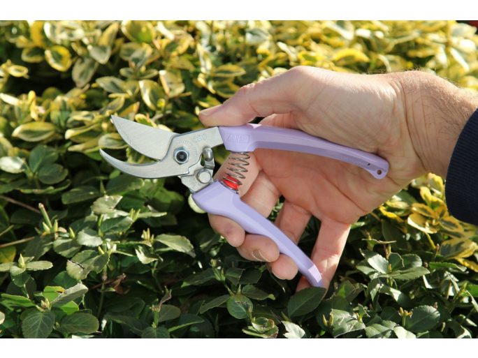 ARS 130DX-V pruning shears with purple handle