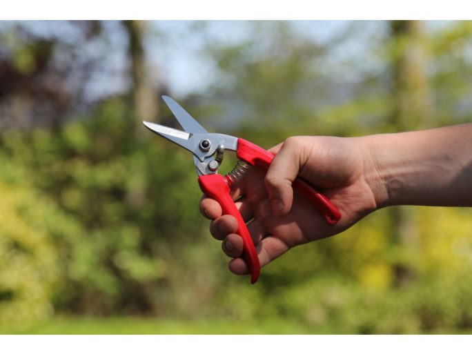 ARS 140DX-R pruning shears with red handle