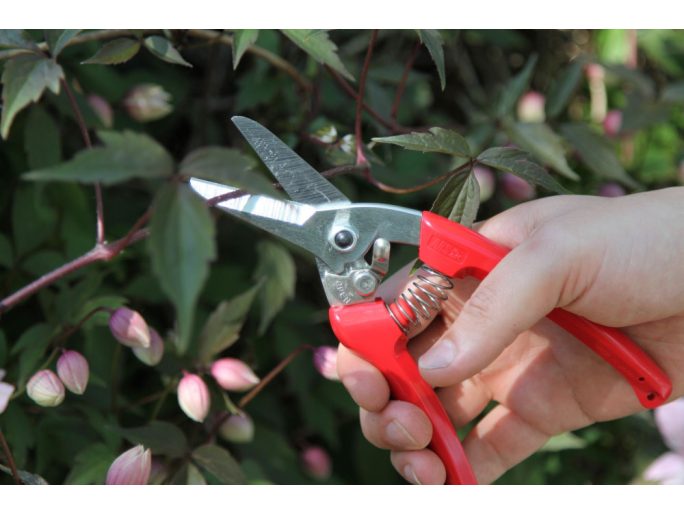 ARS 140DX-R pruning shears with red handle
