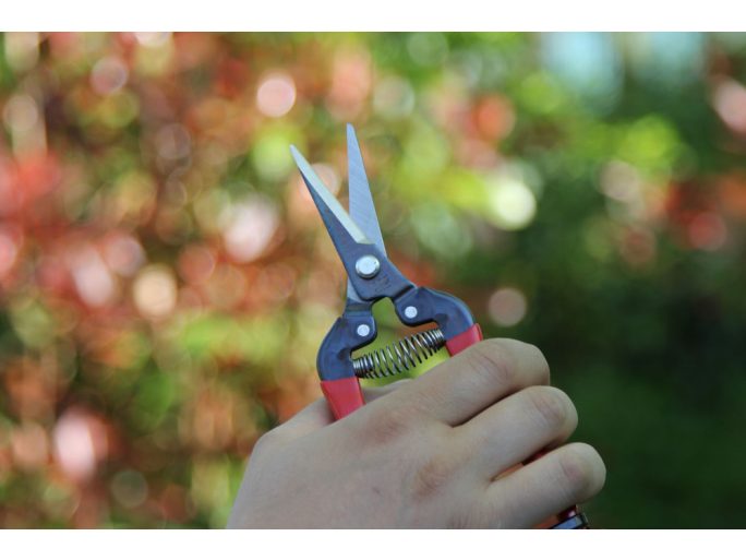 ARS 300L harvesting shears with high-carbon steel blade