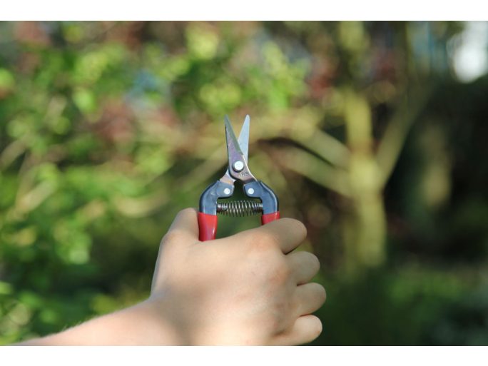 ARS 300SS harvesting shears with high-carbon steel blade