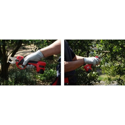 ARS 120DX pruning shears
