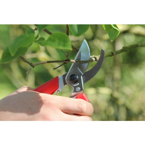 ARS 120DX pruning shears