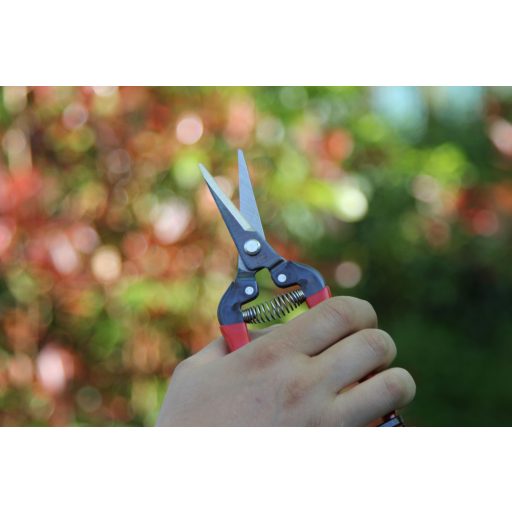 ARS 300L harvesting shears