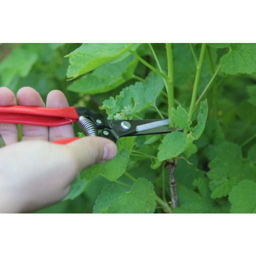 ARS 300L harvesting shears