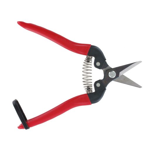 ARS 300SS harvesting shears
