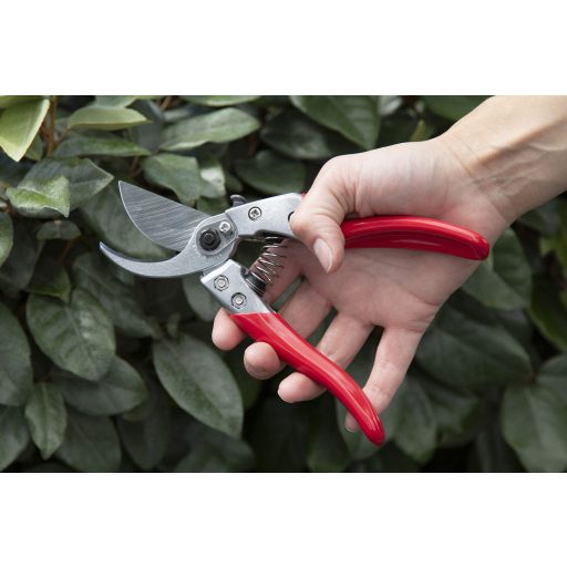 ARS VS-7XZ pruning shears