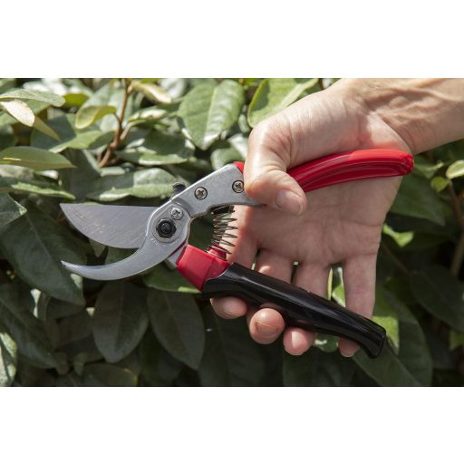 ARS VS-8XR pruning shears