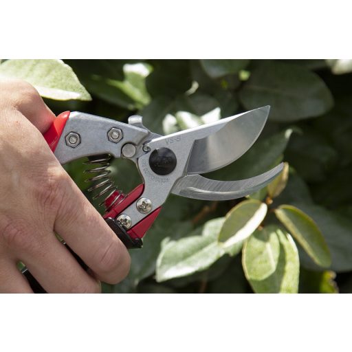 ARS VS-8XR pruning shears