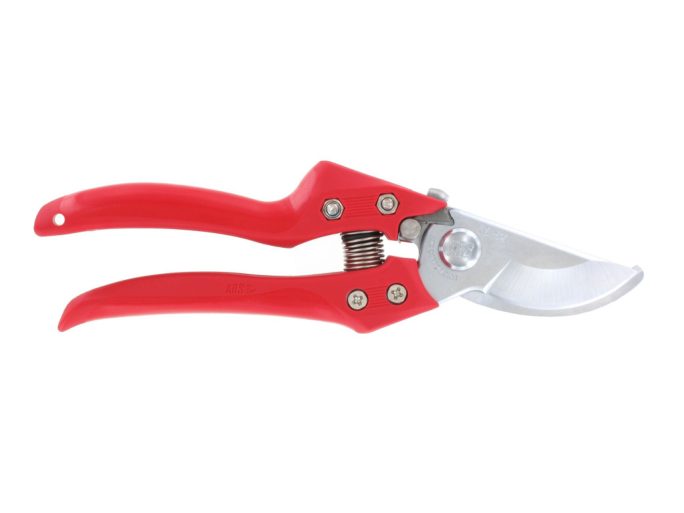 ARS CB-8Z pruning shears with ARS 210DX folding saw