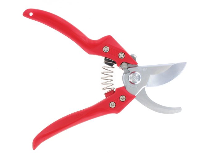 ARS CB-8Z pruning shears with ARS 210DX folding saw