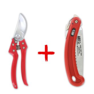 ARS CB-9Z pruning shears with ARS 210DX folding saw