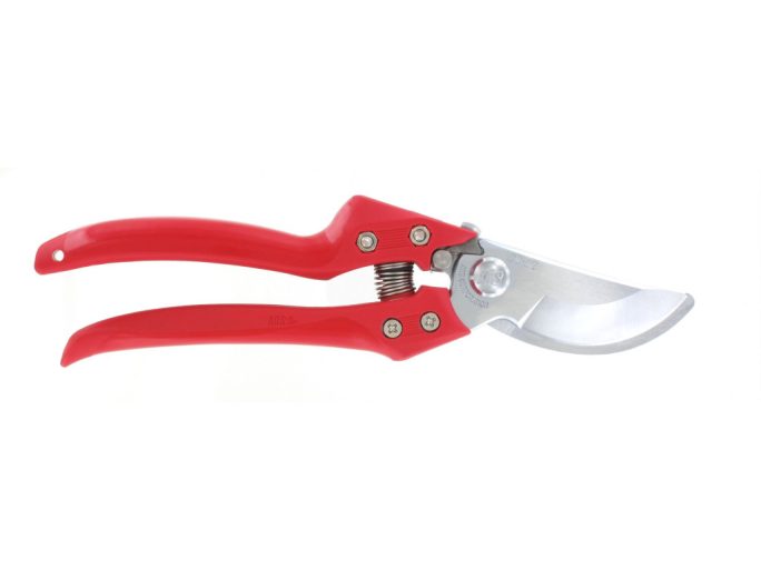 ARS CB-9Z pruning shears with ARS 210DX folding saw