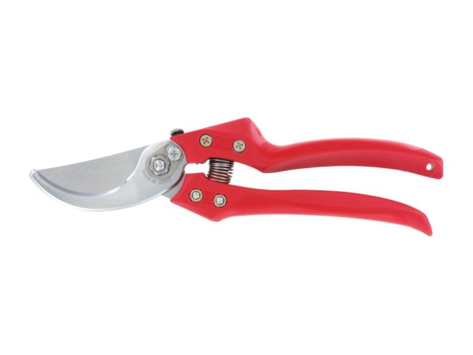 ARS CB-9Z pruning shears with ARS 210DX folding saw
