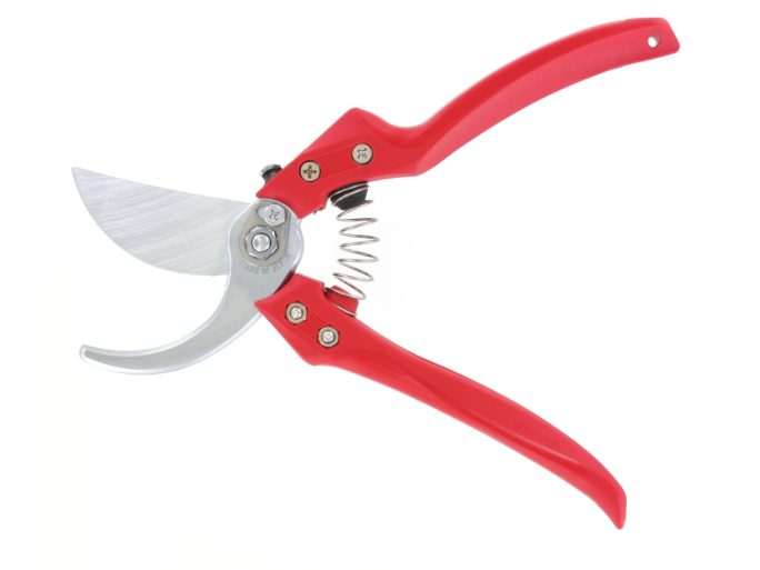 ARS CB-9Z pruning shears + ARS 210DX pruning saw