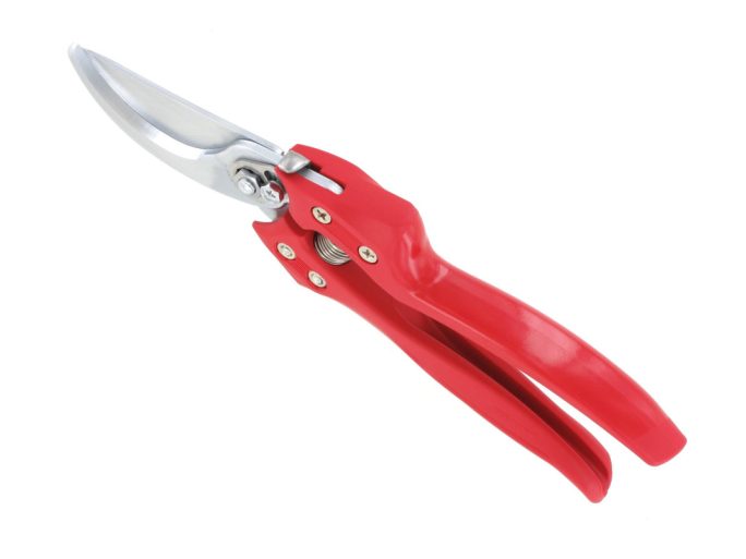 ARS CB-9Z pruning shears with ARS 210DX folding saw