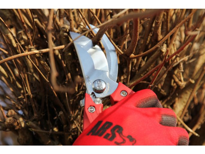 ARS CB-9Z pruning shears with ARS 210DX folding saw