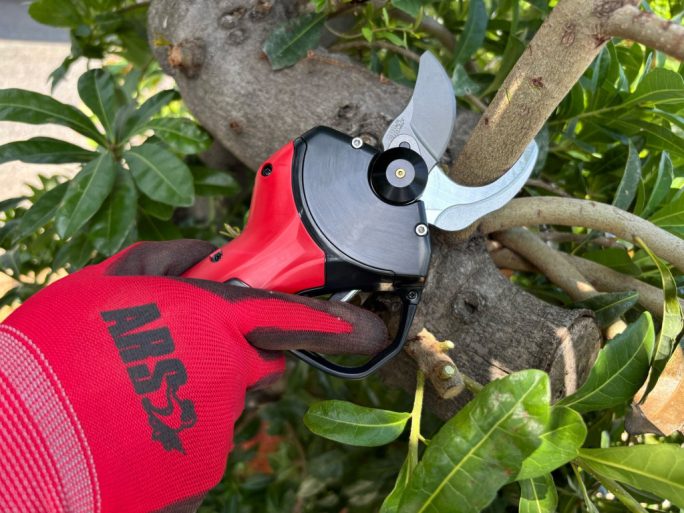 ARS EP-721 cordless electric pruning shears