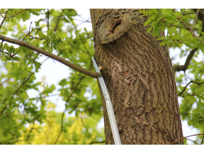 ARS EXW-2.7 telescopic long reach pruners pruning saw