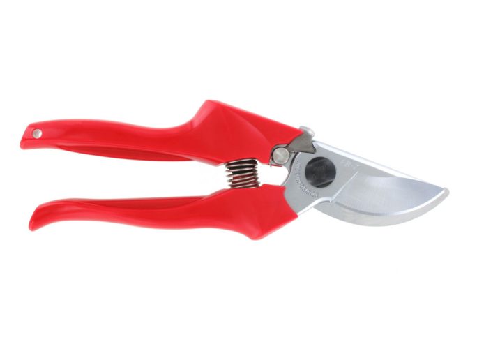 ARS FB-7 pruning shears with ARS 210DX folding saw