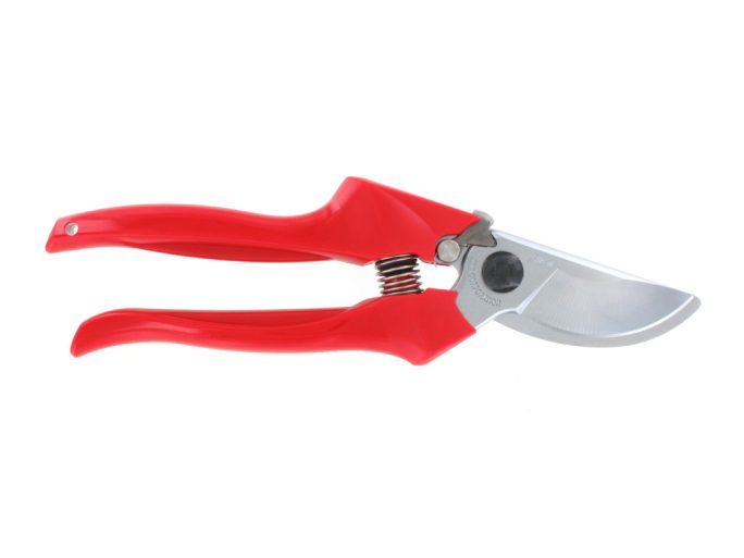 ARS FB-8 pruning shears with ARS 210DX folding saw