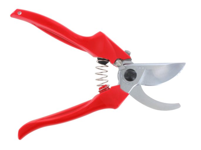 ARS FB-8 pruning shears with ARS 210DX folding saw