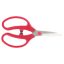 ARS FL-18 flower shears with stainless steel blade