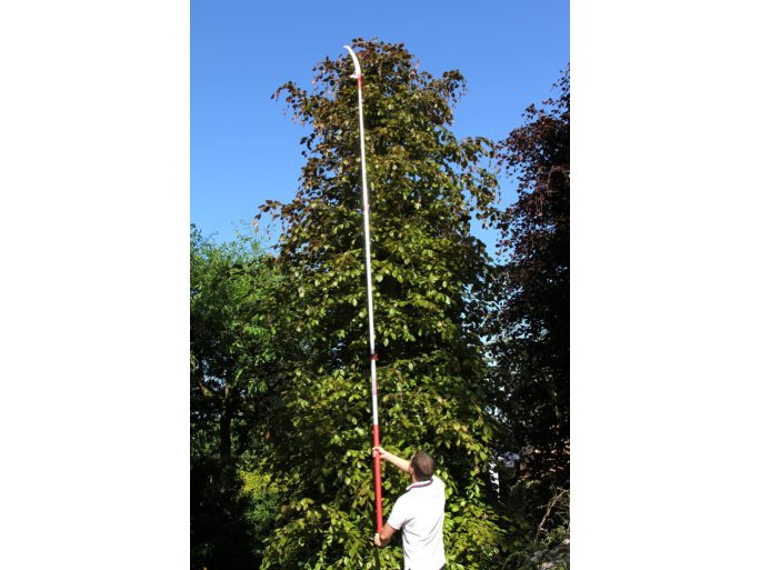 ARS UV-40 pruning saw with EXP-3.3 telescopic pole