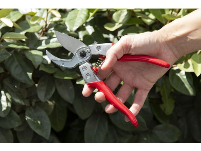 ARS VA-7Z anvil pruning shears with fluorocarbon-coated blade