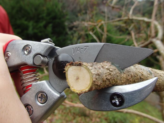 ARS VA-7Z anvil pruning shears with fluorocarbon-coated blade