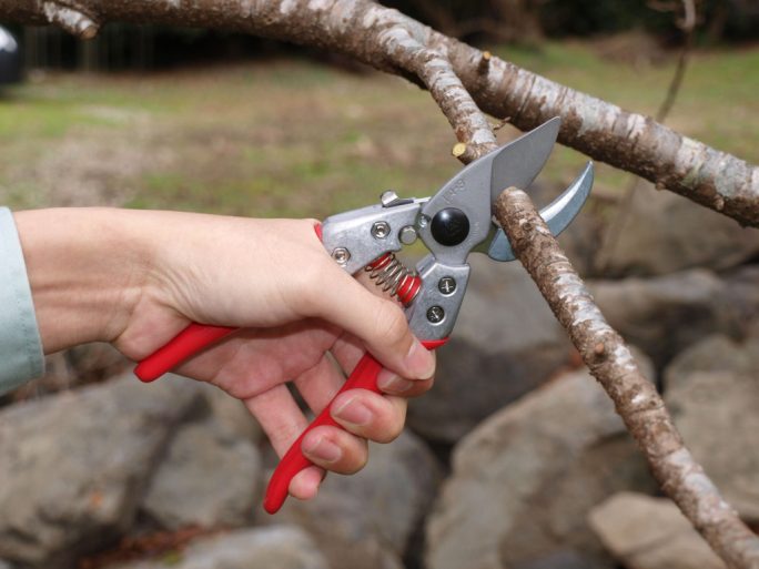 ARS VA-7Z anvil pruning shears with fluorocarbon-coated blade