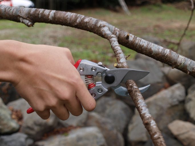 ARS VA-8Z anvil pruning shears with fluorocarbon-coated blade