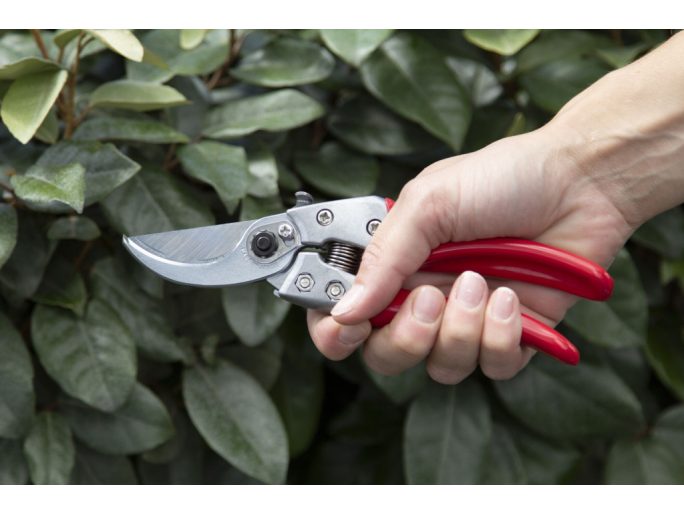 ARS VS-7XZ pruning shears set with holster and blade cleaner