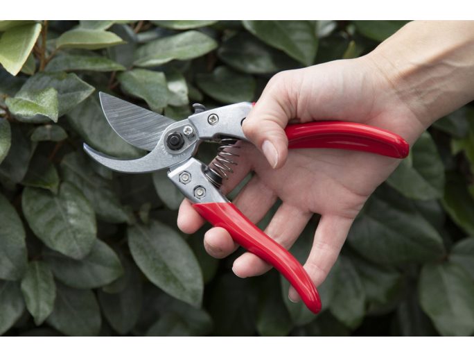 ARS VS-7XZ Pruning Shears Kit: SH-VSZ Leather Holster + GO-1 Cleaner