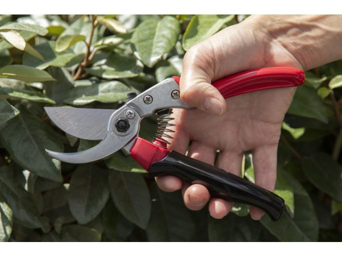 ARS VS-8XR pruning shears set with holster and blade cleaner