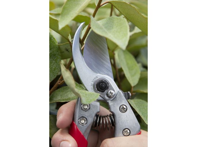 ARS VS-8XZ Japanese pruning shears with a fixed handle