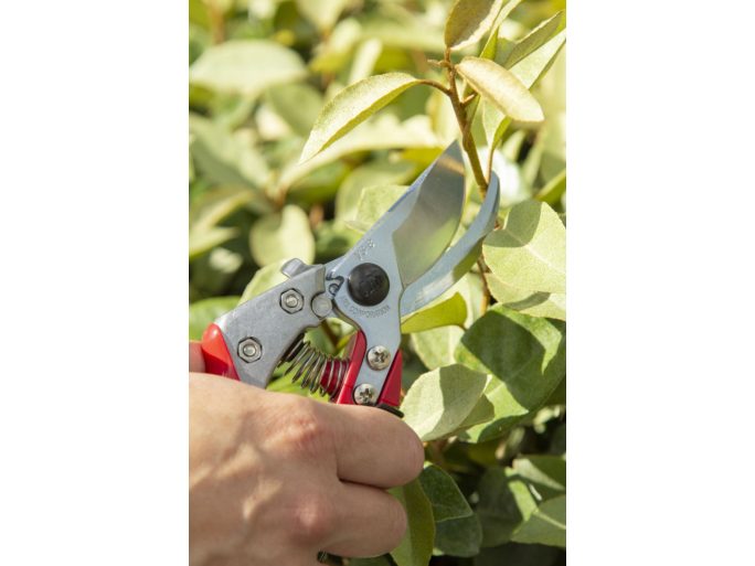ARS VS-9XR pruning shears set with holster and blade cleaner