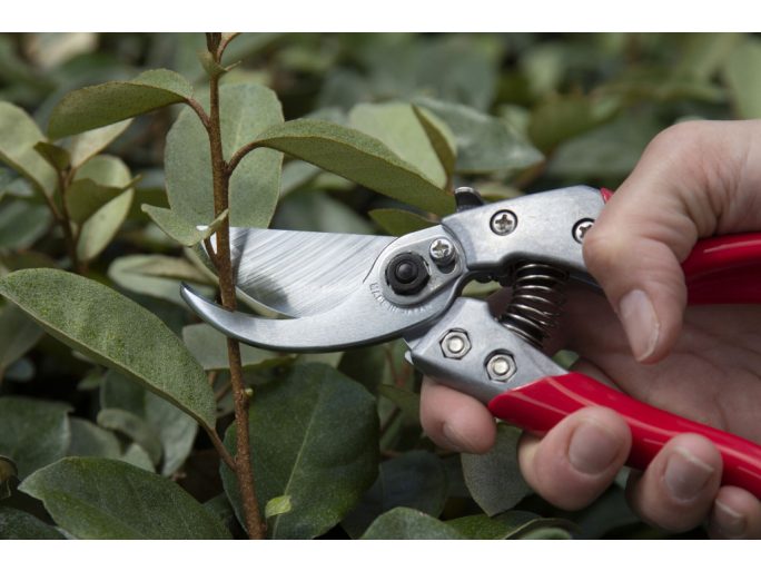 ARS VS-9XZ pruning shears set with holster and blade cleaner